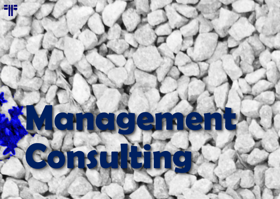 Management-Consulting