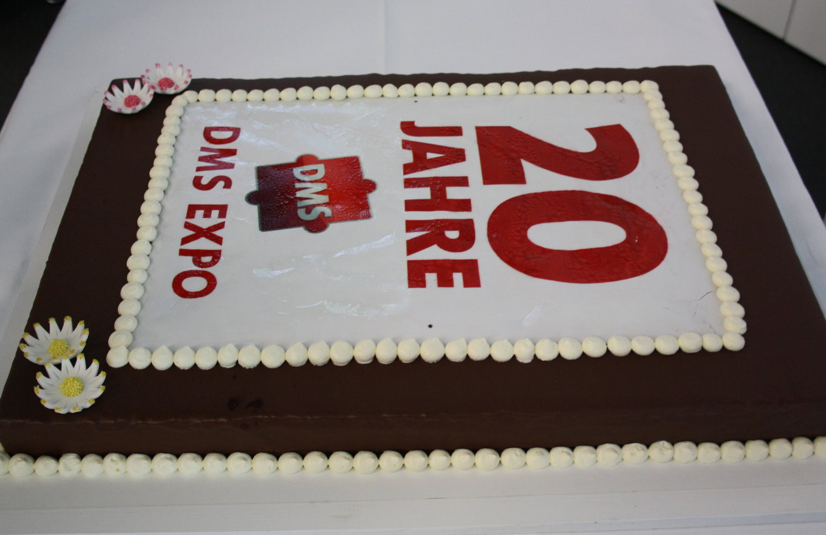 DMS EXPO 2014 Impression ECMguide